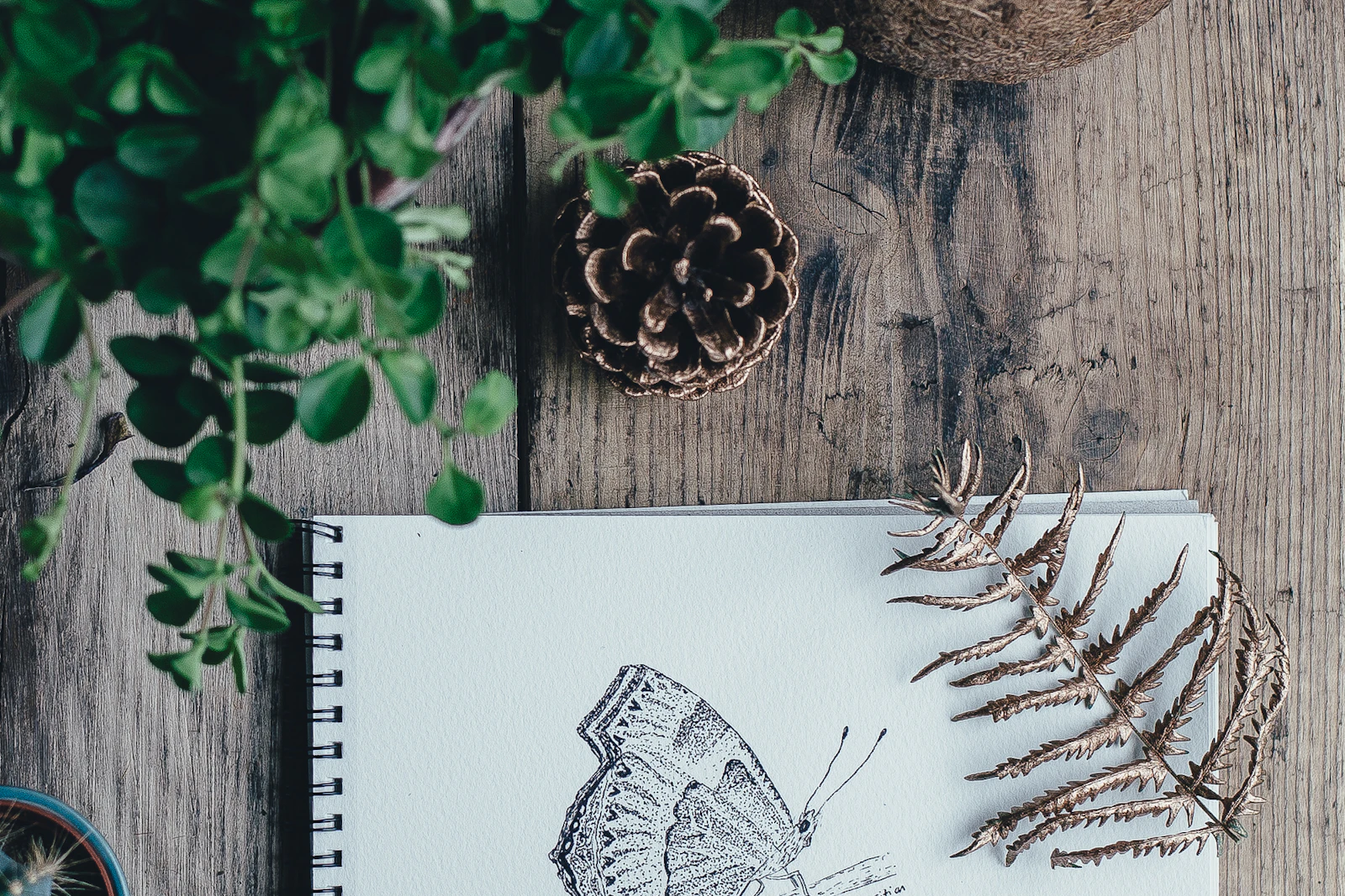 Book Illustration services
